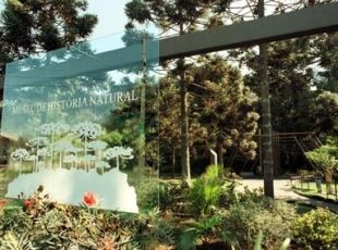 Bosque Capão da Imbúia - Museu de história natural
