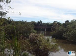  - lago no Parque Cambuí - Fazendinha